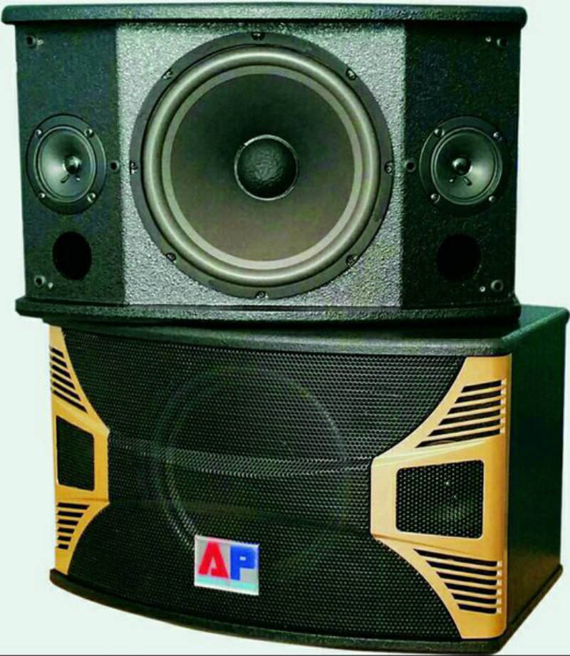 LOA THÙNG CẶP AP 168